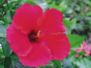 sample08.jpg